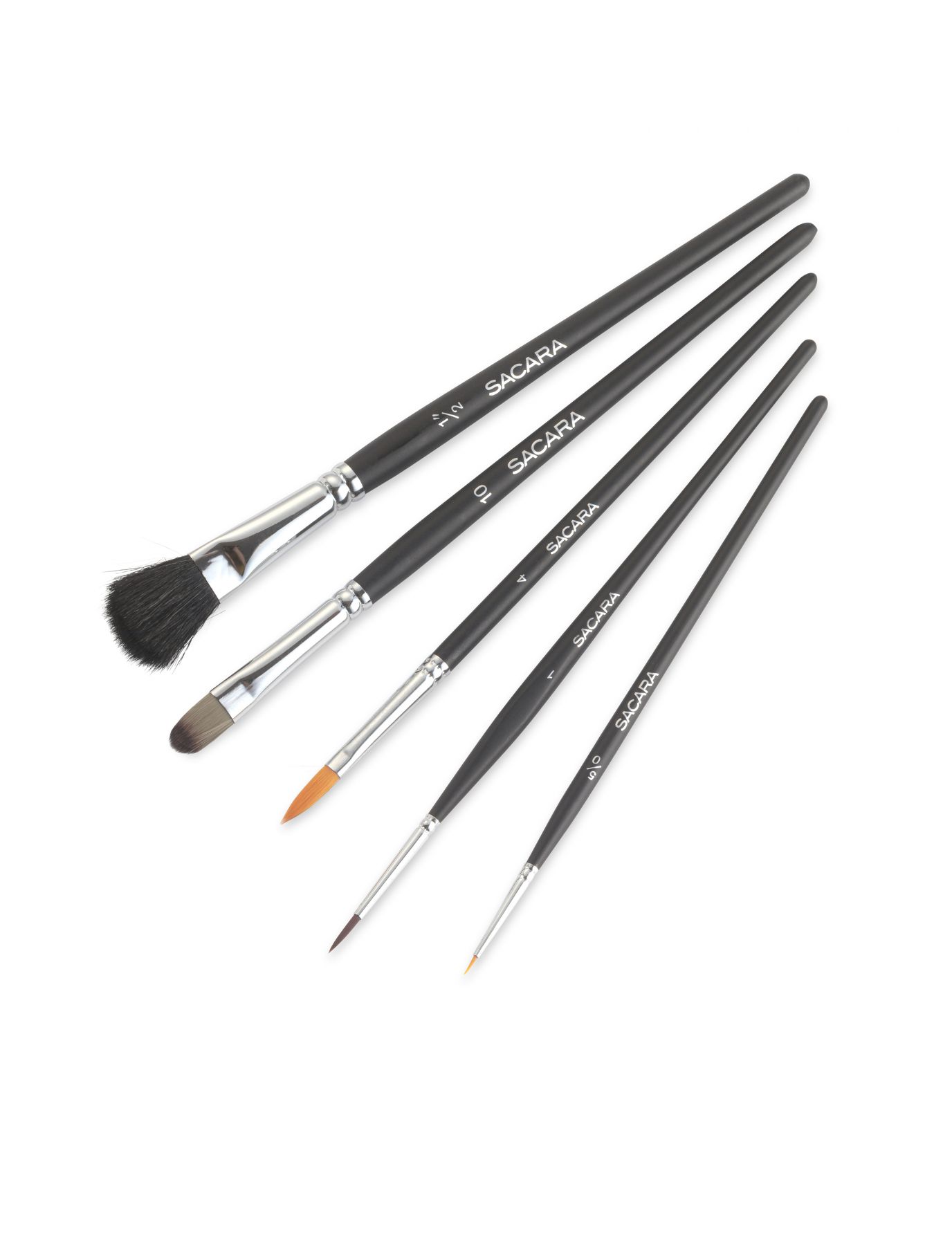 סט 5 מברשות לאיפור פורים