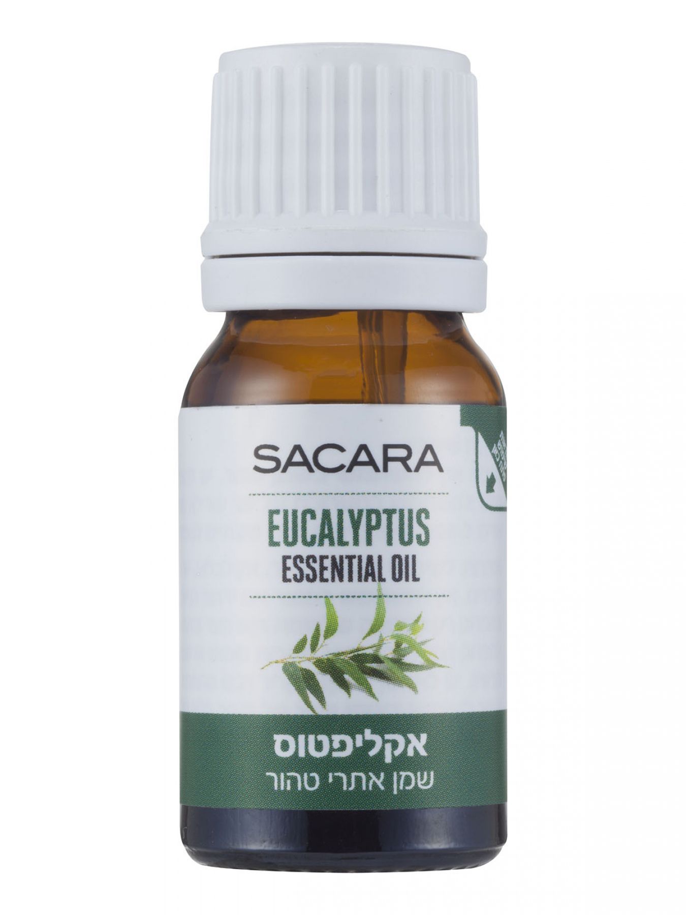 שמן אקליפטוס 10 מל